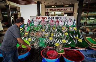 Havaların soğumaması balık fiyatlarını yükseltiyor