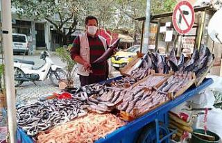 Havaların soğumasıyla balık fiyatlarında düşüş...
