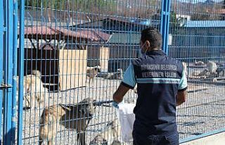 Hayvan Bakım Evi kışa hazır