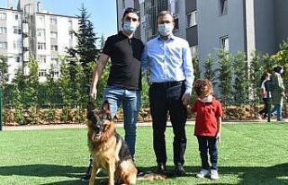 Hayvanları Koruma Günü’nde Pendik’te Neşeli...