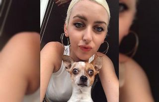 Her yerde köpeğini arıyor