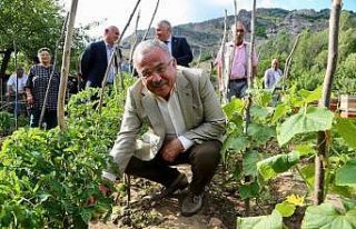 Hilmi Güler’in tarım projesi kazandırıyor