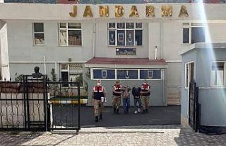 Hırsızlar jandarmadan kaçamadı