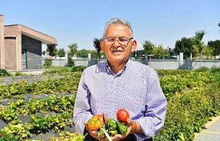 Hobi bahçelerinin kullanım hakkı 1 yıl uzatılacak