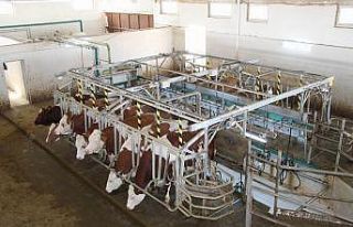 Hollanda’da yaşayan gurbetçi vatandaş tarım...