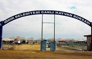 Iğdır ‘Canlı Hayvan Pazarı’ haftada üç gün...