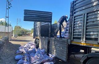 İhtiyaç sahibi ailelere kömür yardımı