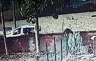 İki otomobilin kafa kafaya çarpışması sonucu...