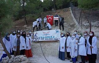 İkra Koleji, Hatay anısına fidanları toprakla...