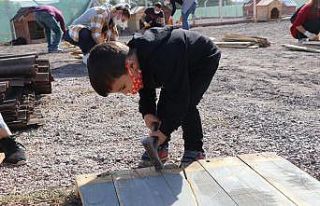 İlçe halkı sokak hayvanları için seferber oldu:...