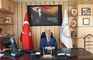 İlçe merkezindeki söğüt ve kavak ağaçları...