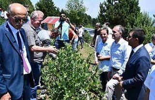 İnegöl tarımı şahlanıyor