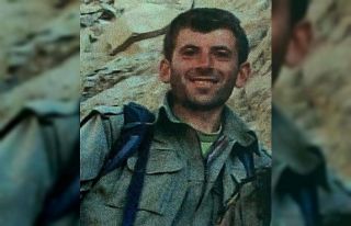 Interpol tarafından kırmızı bültenle aranan PKK’lı...