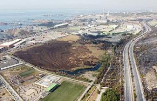 İskenderun’da 55 dönümlük kuş cenneti de kül...