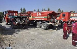 İskenderun’daki orman yangını kontrol altına...