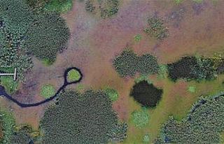 İsmini Bizans prensesinden alan kuş cenneti, izleyenleri...