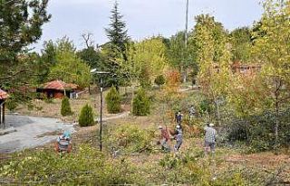 Isparta’da atıl durumdaki mesirelik alan yeniden...