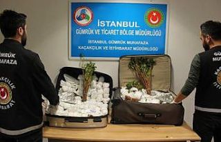 İstanbul Havalimanı’nda 208 kilogram Khat cinsi...