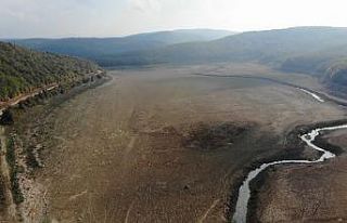 İstanbul’a su taşıyan 4 baraj kuruma noktasına...