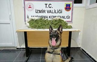 İzmir’de 8,5 kilogram uyuşturucu ele geçirildi