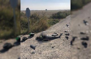 İzmir’de kamyona çarpan motosikletli sürücü...