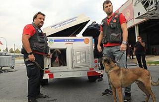 İzmir’de olan deprem bölgesine Sakarya’dan destek