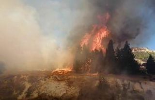 İzmir’de orman yangını
