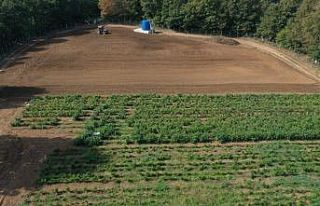 İzmit Belediyesi Tarımsal Üretim Bahçesinde kış...