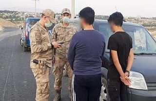 Jandarma ekiplerinden şok uygulama