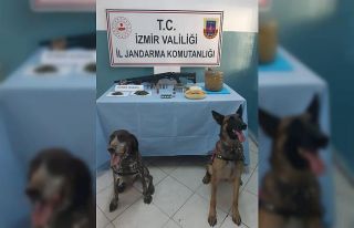 Jandarmadan 6 ilçede uyuşturucu operasyonu: 6 gözaltı