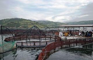 Japonya beğendi, üretim artırıldı