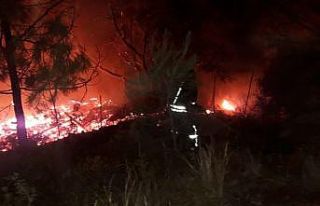 Kabak Koyu’ndaki yangında çok sayıda bungalov...