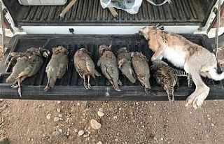 Kaçak avlanan avcılara göz açtırılmadı