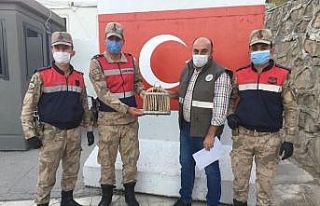 Kaçak avlanılan Kerkeneze el konuldu