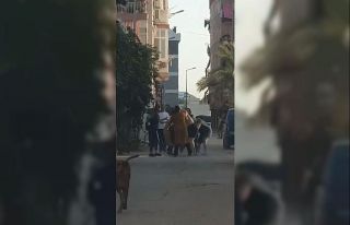Kadınlar saç saça baş başa kavga etti, erkekler...
