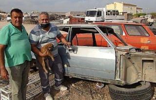 Kafası sıkışan yavru köpeği sanayi esnafı kurtardı
