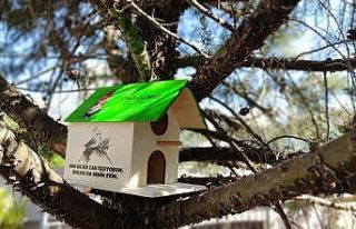 Kahramanmaraş’ta kedi ve kuşlara ev