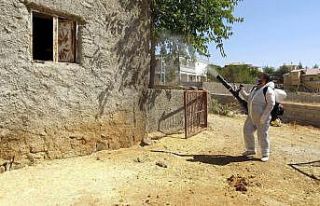 Kahramanmaraş’ta ‘Üçgün’ hastalığına...