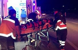 Kamyonet direğe çarptı: 3 yaralı