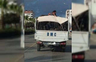 Kamyonet üzerinde ’pes’ dedirten yolculuk