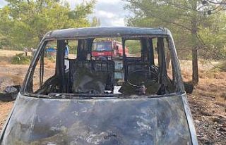 Kamyonet ve arı kovanları alev alev yandı