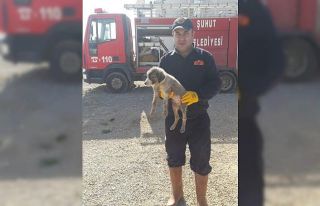 Kanalizasyon borusuna sıkışan yavru köpeği itfaiye...