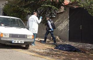 Kapı komşusu akrabalar arasında döner bıçaklı...