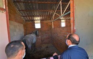 Kaplıcalara gelen engelli bireyler atlarla gezecek