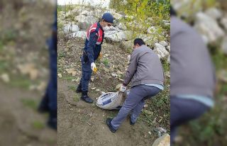 Karabük’te izinsiz salyangoz toplayan 5 kişiye...