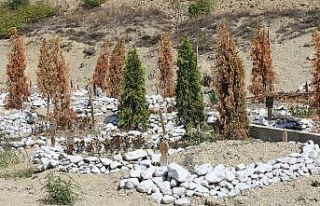 Karabük’te korona virüsten ölenlerin sayısı...