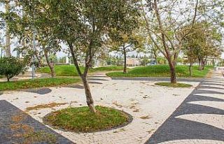 Karacabey Canbalı camii çevresi güzelleşti