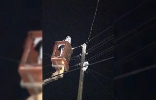 Karantina bölgelerinde kesintisiz enerji nöbeti