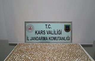 Kars’ta bin 955 sikke ele geçirildi