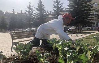 Kars’ta havuzların etrafı çiçekleniyor